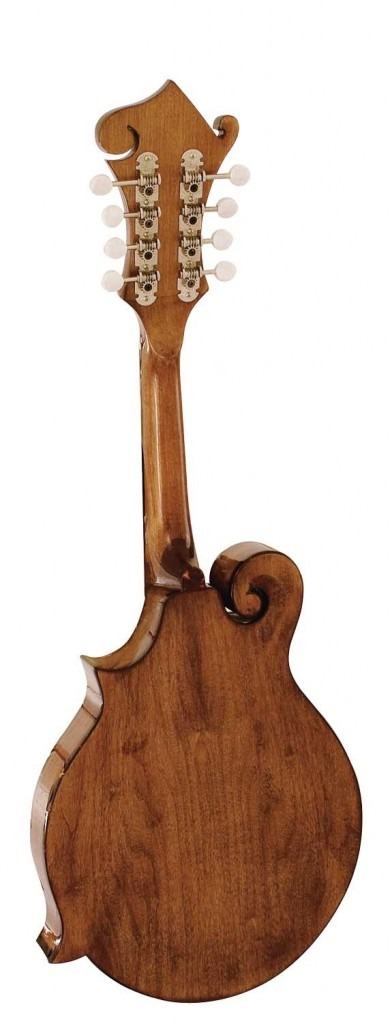 BARNES AND MULLINS MANDOLIN – SALVINO MODEL - Image 2