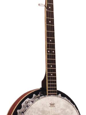 BJ300: BARNES & MULLINS PERFECT 5-STRING BANJO